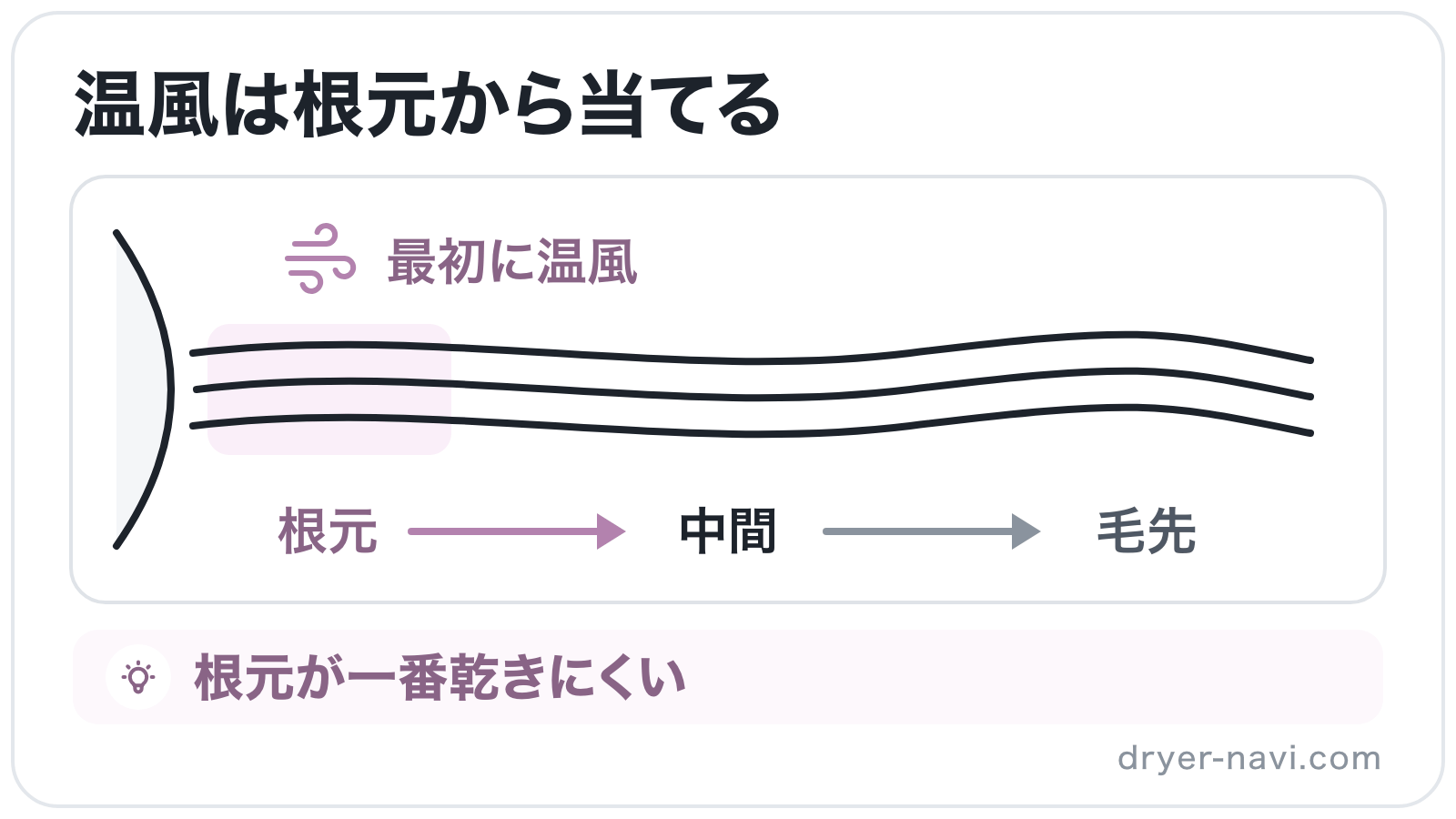 頭皮から伸びる髪を横から見て、根元から中間、毛先の順に温風を当てる順番を矢印で示したイラスト